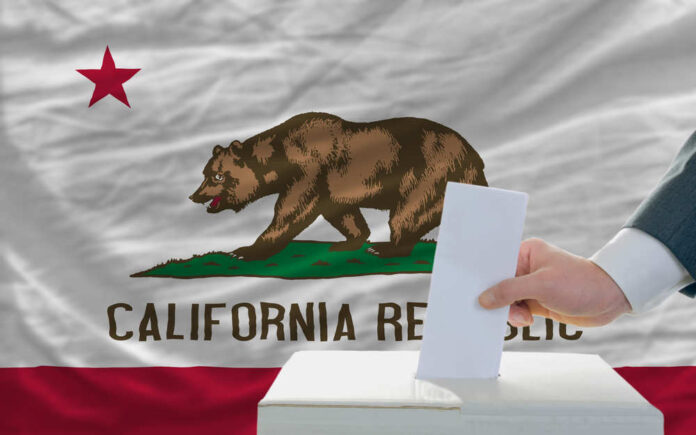 Man,Putting,Ballot,In,A,Box,During,Elections,In,Front