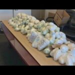 Alleged Sinaloa cartel leader faces narco-terrorism charges
