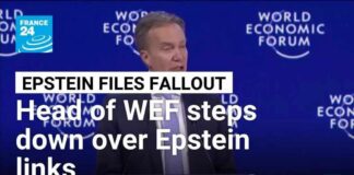 World Economic Forum head Børge Brende steps down following pressure over Epstein links