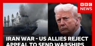 US allies reject Trump’s appeal to send warships to Strait of Hormuz | BBC News