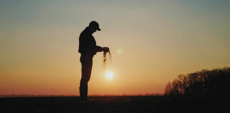 Silhouette of a farmer holding soil against a sunset backdrop