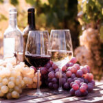 Two glasses of wine beside fresh grapes in a vineyard