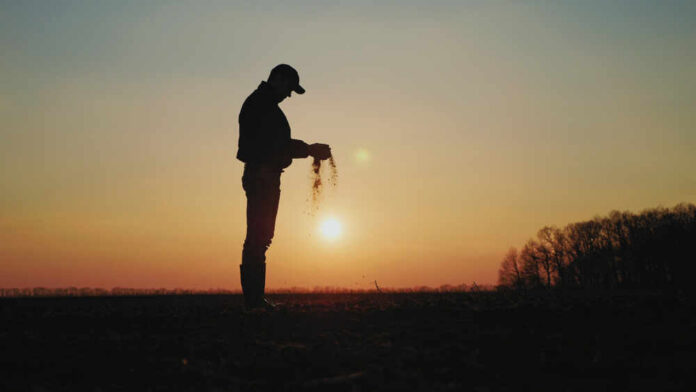 shutterstock_1391901893.jpg Silhouette of a farmer holding soil against a sunset backdrop
