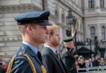 Members of the royal family in military uniforms and formal attire during a ceremony