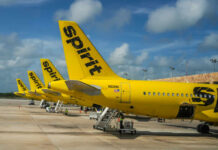Multiple yellow Spirit Airlines planes parked at an airport