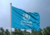 Flag of the World Health Organization waving against a blue sky