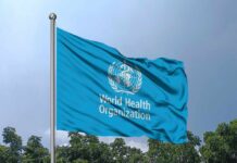 Flag of the World Health Organization waving against a blue sky
