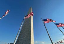 Washington Monument surrounded by American flags under a clear blue sky