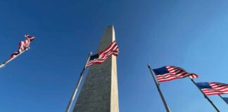 Washington Monument surrounded by American flags under a clear blue sky