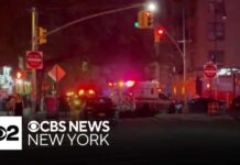 Man fatally shot in Prospect Lefferts Gardens, NYPD says