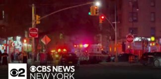 Man fatally shot in Prospect Lefferts Gardens, NYPD says