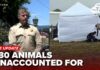 More than 730 animals unaccounted for as investigators dig at Miranda’s Rescue property