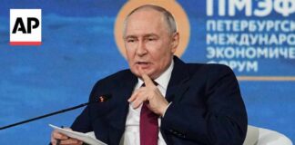 Putin rejects Zelenskyy's offer to meet and says there's 'no point'
