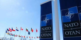 NATO flags displayed in front of the NATO headquarters under a clear blue sky