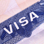 Visa Roulette: Congress Rolled The Dice Close-up of a visa document showing the word VISA and intricate design elements