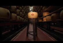 Extreme heat threatens Italy's Parmesan heartland