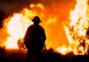 Horrific Orphanage Inferno Near Algiers Silhouette of a firefighter standing in front of a large wildfire