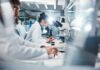 Diarrhea Outbreak Sparks Taco Bell Pullback Scientists working in a laboratory with microscopes and test tubes