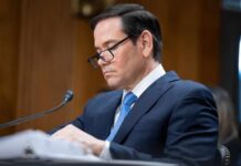 Rubio’s Crackdown Goes Nuclear Individual in a suit reviewing documents during a senate hearing