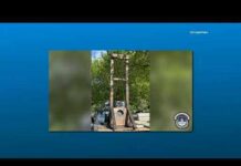 San Diego County man arrested in DC near US Capitol for guillotine possession