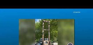 Guillotine Seized Steps From Supreme Court San Diego County man arrested in DC near US Capitol for guillotine possession
