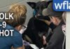 Hero Dog Takes Bullets, Deputies Live 'A hero without any doubt': Polk County K-9's leg amputated after being shot by wanted suspect