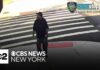 Man opens fire in Brooklyn, shoots dog