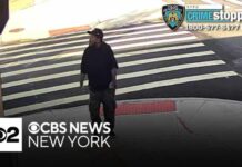 Man opens fire in Brooklyn, shoots dog