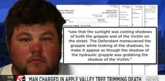 Tree trimmer charged with crushing coworker while playing shadow puppets in Apple Valley
