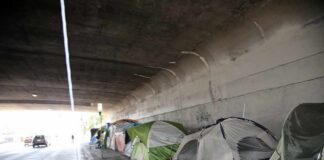 Tents lined up under a concrete overpass