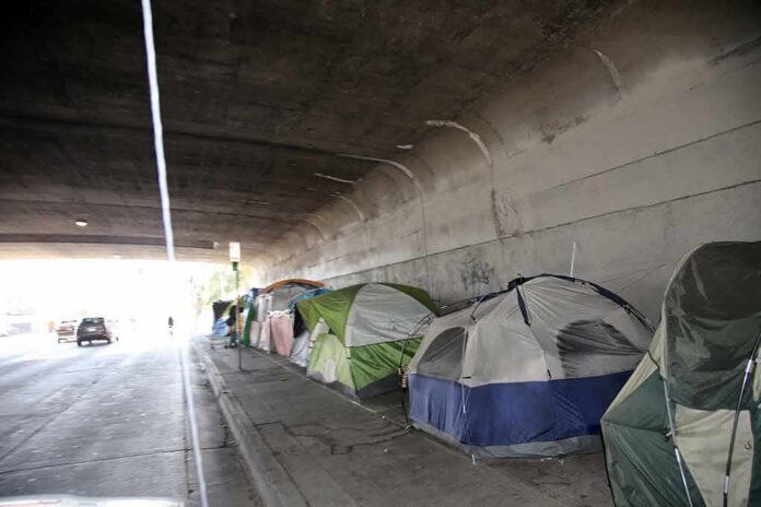 Tents lined up under a concrete overpass