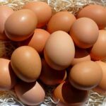 Outrage In Pristina: Debate Turns Food Fight Brown eggs piled on straw