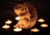 angel statue surrounded by lit candles