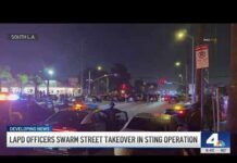 Street Takeover Busted—Hundreds Cornered Harbor Gateway street takeover bust leads to nearly 70 arrests