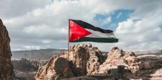 Palestinian flag waving over rocky desert cliffs