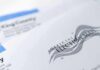 Official election mail envelopes with county label