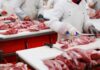 Butchers cutting raw meat on processing line