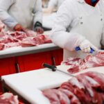 Butchers cutting raw meat on processing line