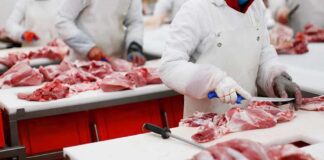 ICE Surge Sparks Kansas Beef Chaos Butchers cutting raw meat on processing line
