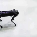 Quadruped robot on a white floor