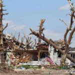 Collapse Risk Halts Rescue—Cats Still Inside Storm-damaged house with fallen trees and debris