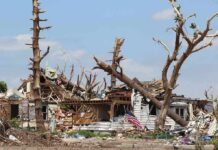 Collapse Risk Halts Rescue—Cats Still Inside Storm-damaged house with fallen trees and debris