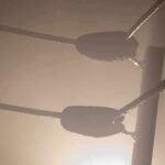 Boxing ring corner ropes in hazy light