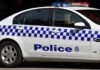Police car with blue checkered livery and roof lights