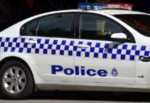Police car with blue checkered livery and roof lights