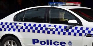 MP Crushed Outside Office – Deliberate Car Attack Rattles Parliament Police car with blue checkered livery and roof lights