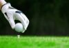 Tree Massacre – Courtroom Showdown Over ‘Routine’ Work Golf glove placing ball on tee